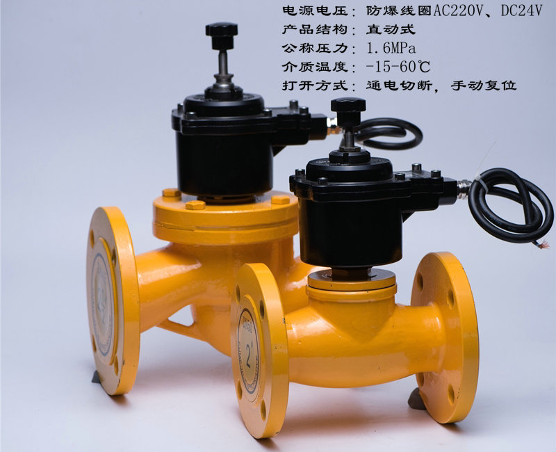 燃?xì)怆姶砰y高清實(shí)物圖 燃?xì)怆姶砰y高清實(shí)物圖